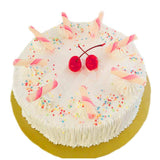 Mix Flavoured Ice Cream Cake by Yalu Yalu