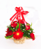 Love with Gerbera and Roses