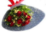 හෙලෝ ගාර්ජියස්