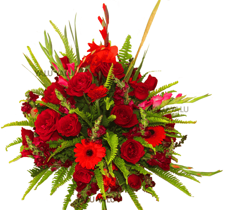 Autumn Wishes - yaluyalu