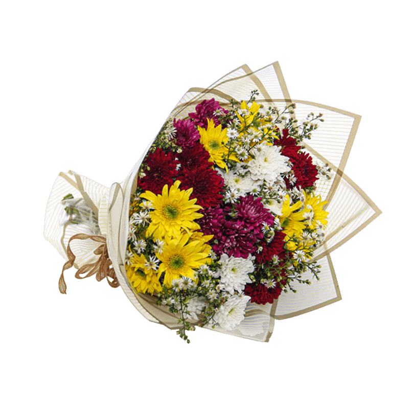 Chrysanthemum Elegance Fresh Flower Posy by YaluYalu - yaluyalu
