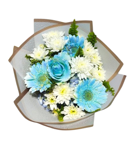 Heavenly Blue Bliss by Yalu Yalu | Delivery in Sri Lanka