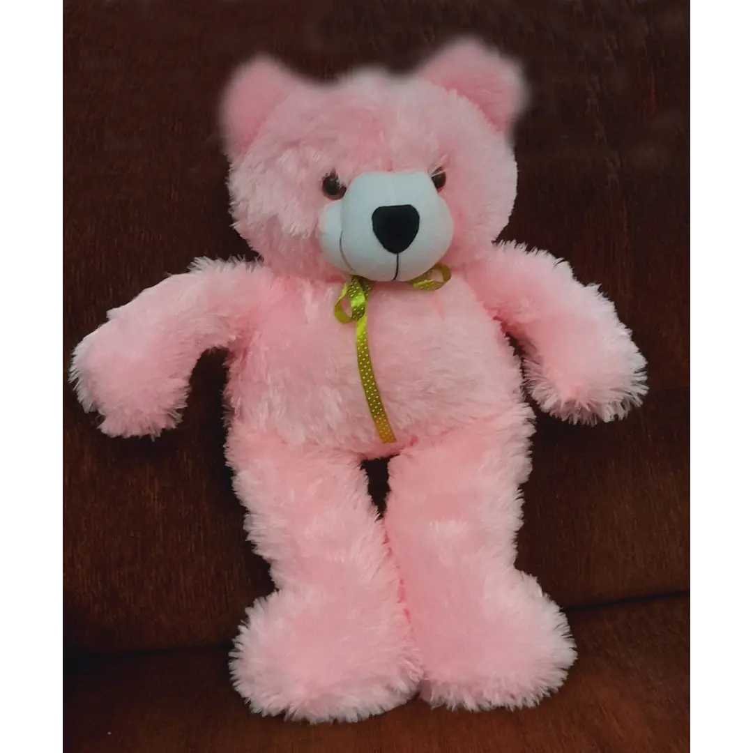 Cute Little Teddy Bear (2ft)