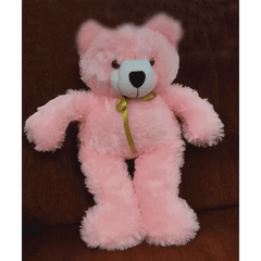 Cute Little Teddy Bear (2ft) - yaluyalu