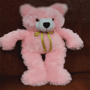 Cute Little Teddy Bear (2ft) - yaluyalu
