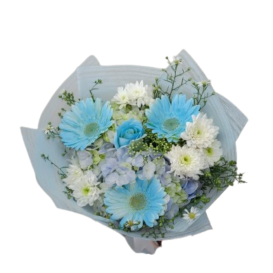 Heavenly Blue Bliss by Yalu Yalu | Delivery in Sri Lanka