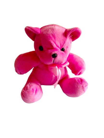 Sweet Hug Surprise 2 by Yalu Yalu | Delivery in Sri Lanka