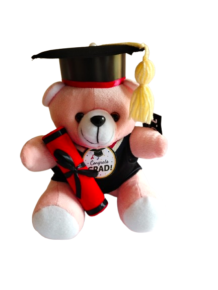 Graduation Cheers Teddy  | Yalu Yalu | Delivery in Sri Lanka