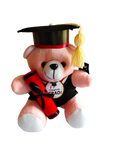 Graduation Cheers Teddy  | Yalu Yalu | Delivery in Sri Lanka
