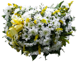 White & Yellow Chrysanthemum Coffin Wreath