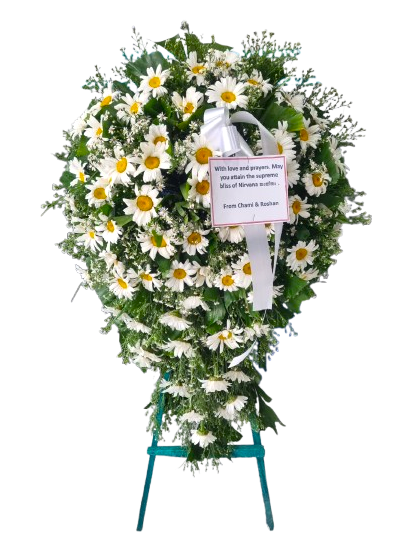 White Daisy Sympathy Wreath