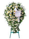 White Daisy Sympathy Wreath