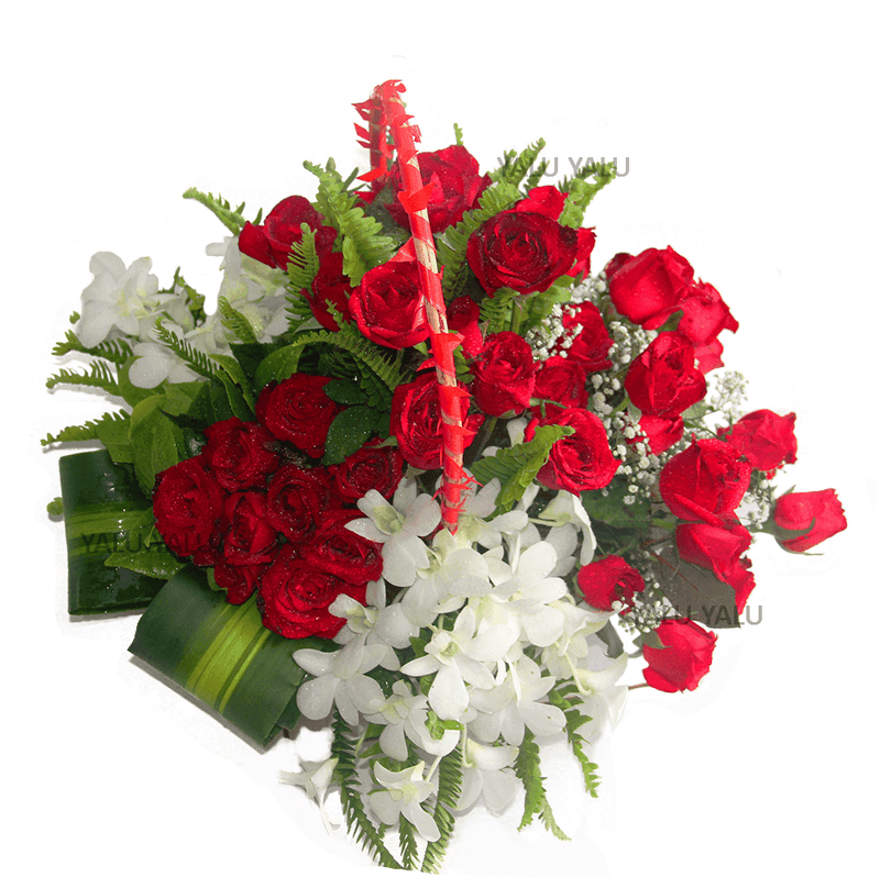 Snow with Roses - yaluyalu