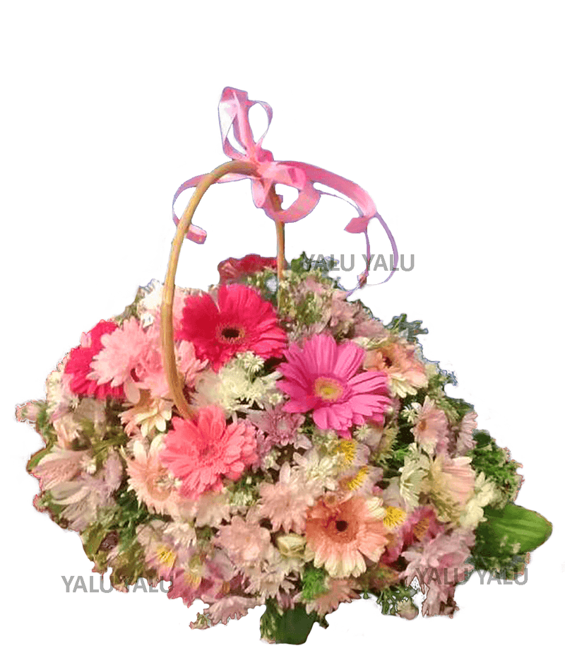 Rewards for beautiful you - yaluyalu