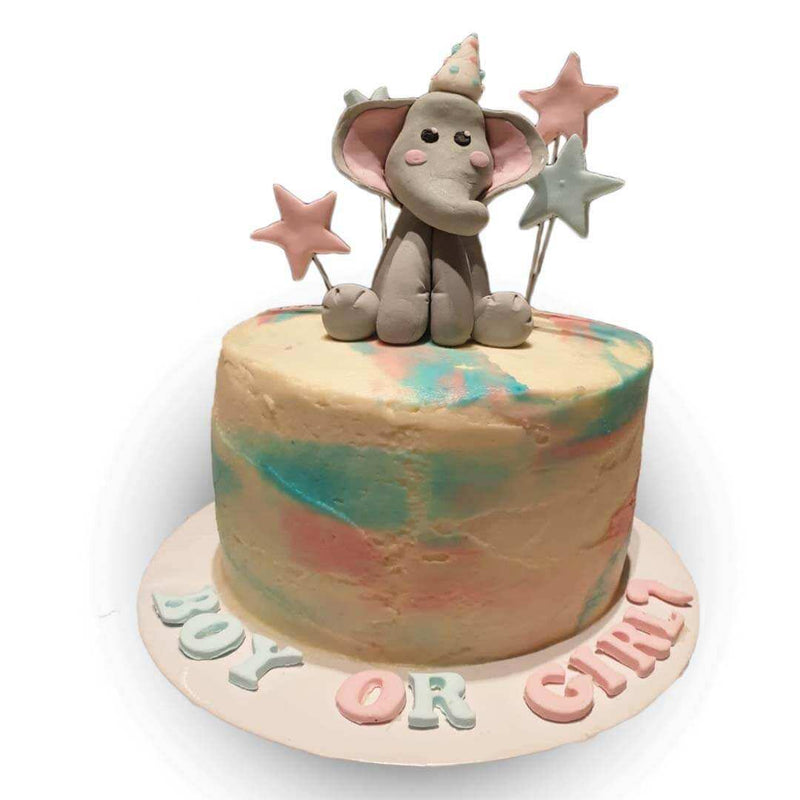 Gender Reveal cake by Yalu Yalu Galle Outlet - yaluyalu