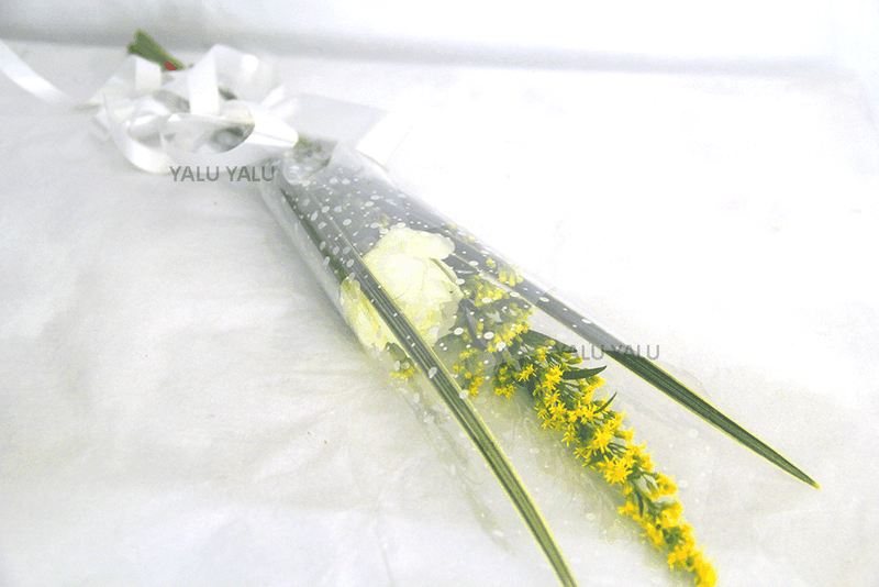 Single White Rose - yaluyalu
