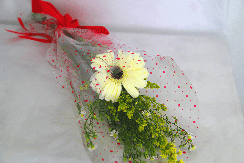Fresh Gerbera in a Holder - yaluyalu