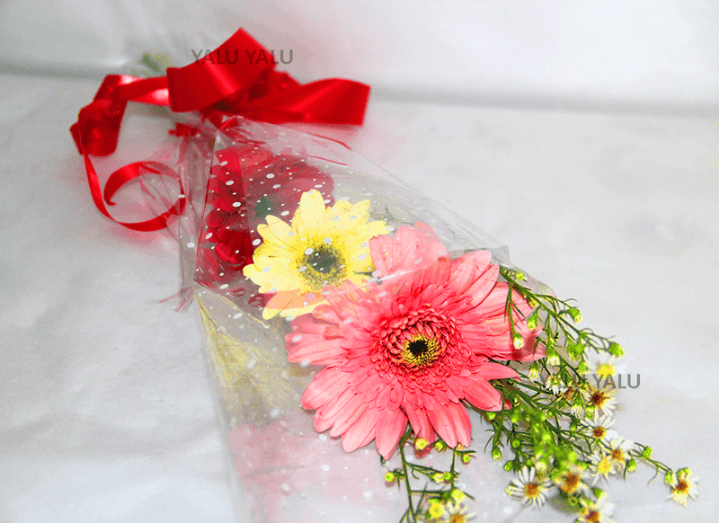 Lucky and Charm - yaluyalu