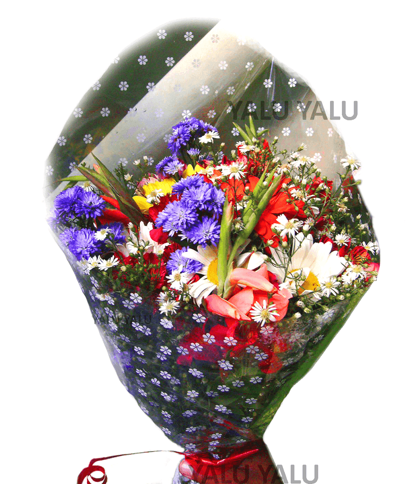 Hello Gorgeous - yaluyalu