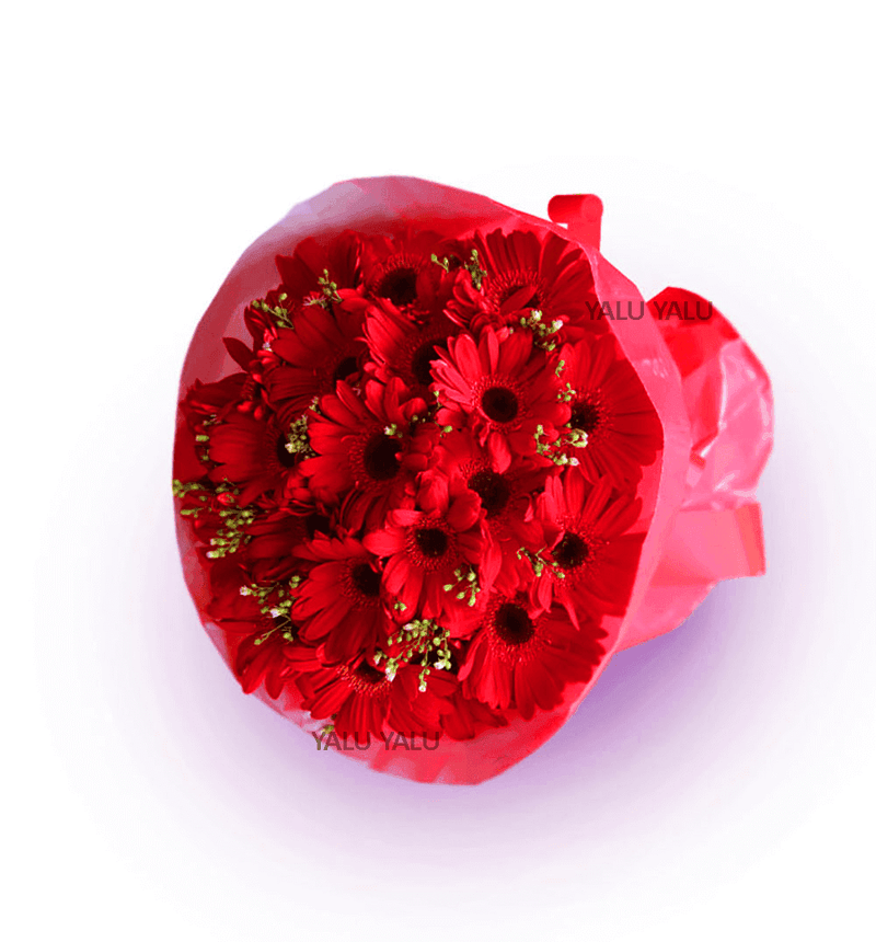 Bunch of Red Romance - yaluyalu