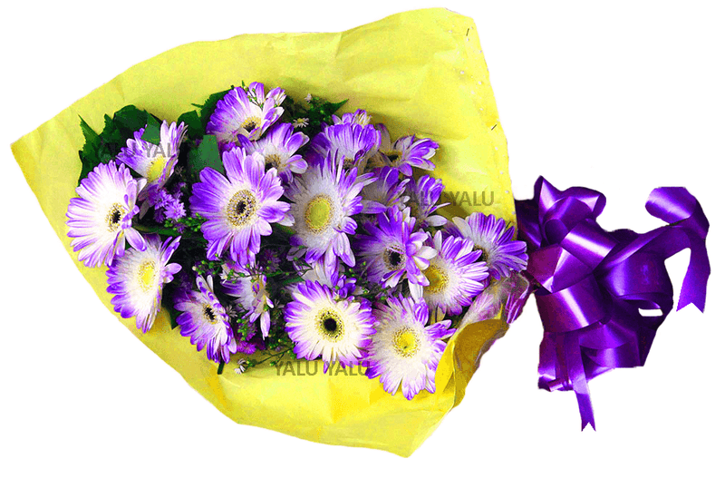 Shine with Purple - yaluyalu