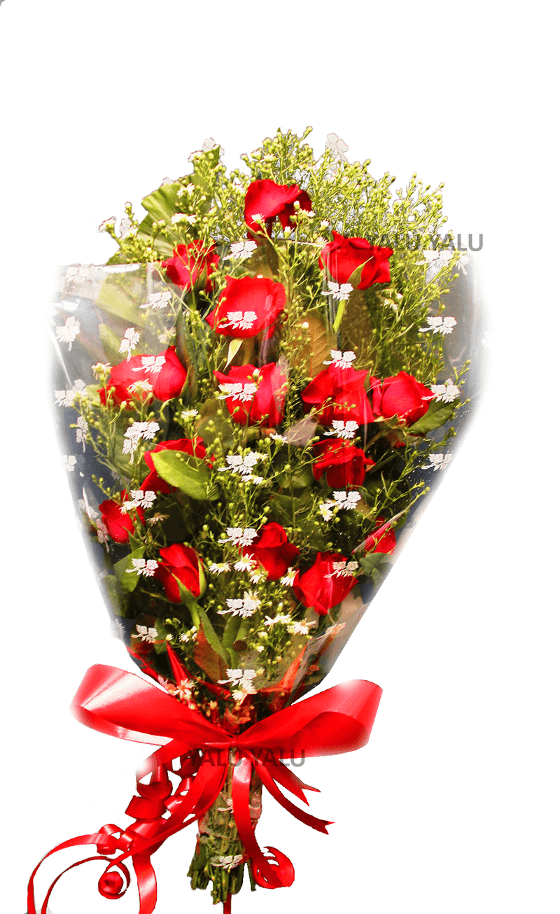 Red Infatuation - yaluyalu