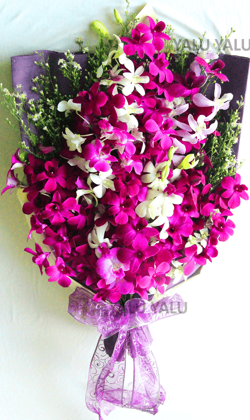 Vibrant Jubilance - yaluyalu