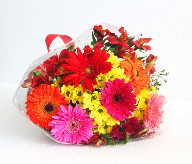 My little cutie - yaluyalu