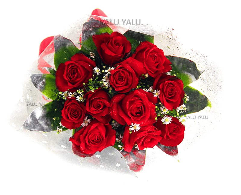 Romance Cherry - yaluyalu