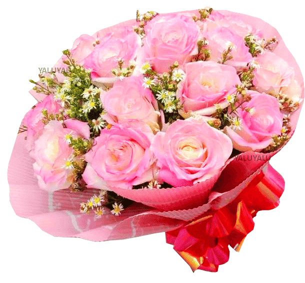 Splendid Pink - yaluyalu