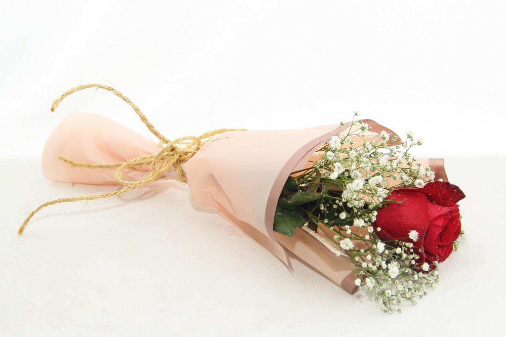 Download A Single Red Rose in Full Bloom Wallpaper