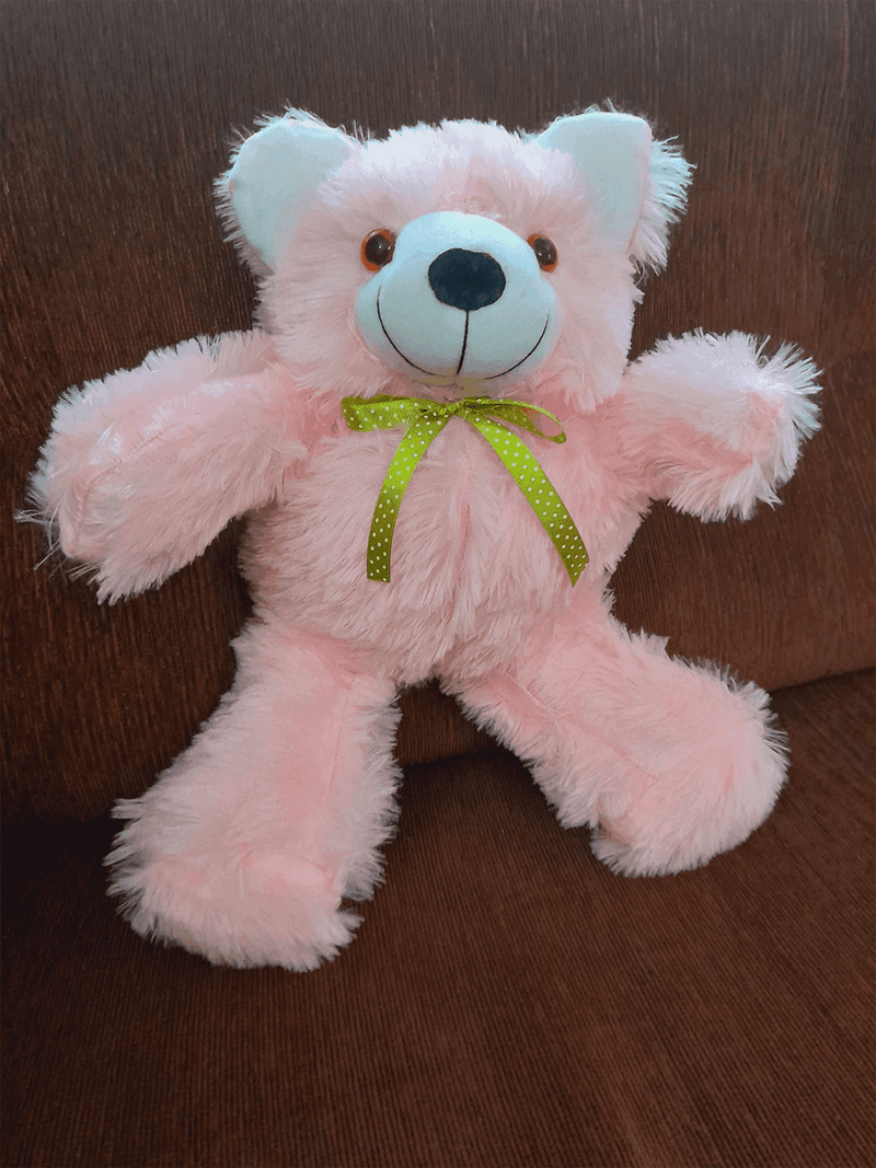 Cute Little Baby Teddy Bear (1ft) - yaluyalu