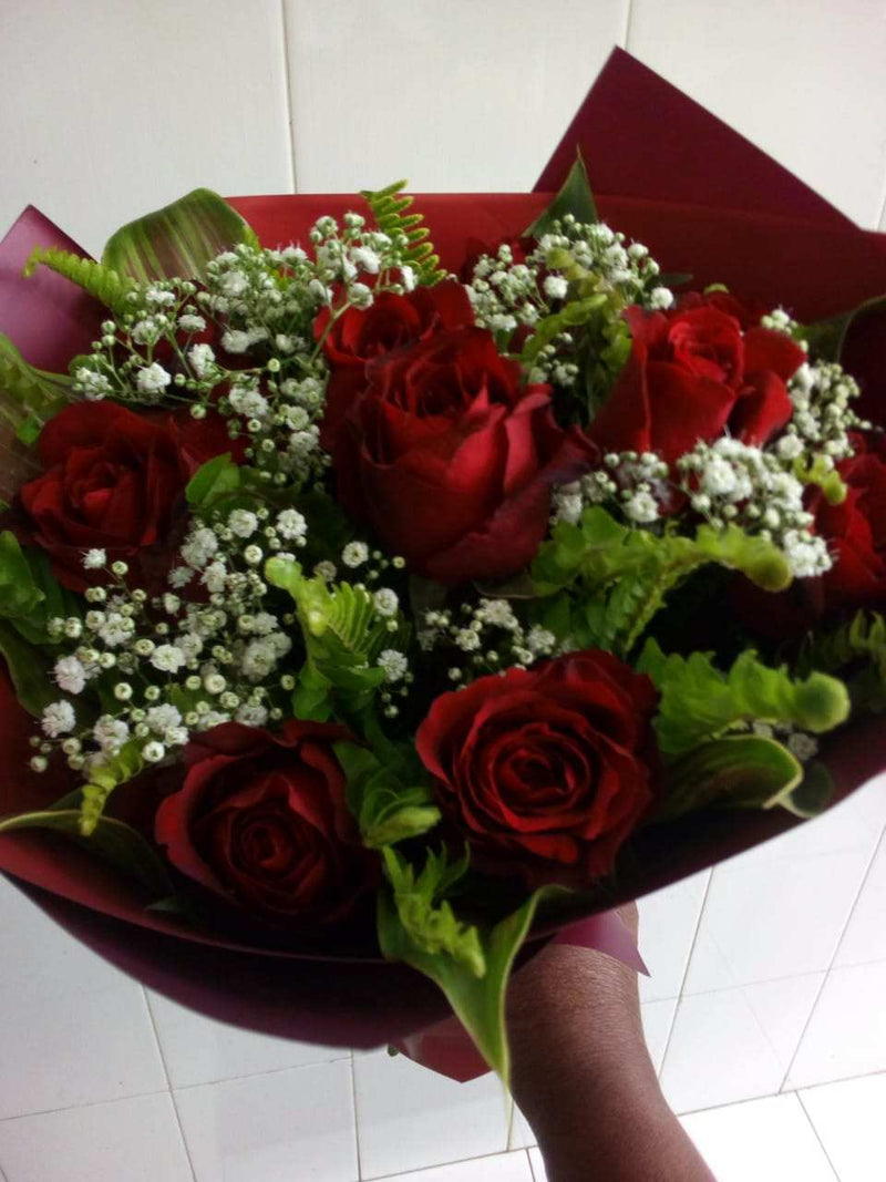 Romance Cherry - yaluyalu